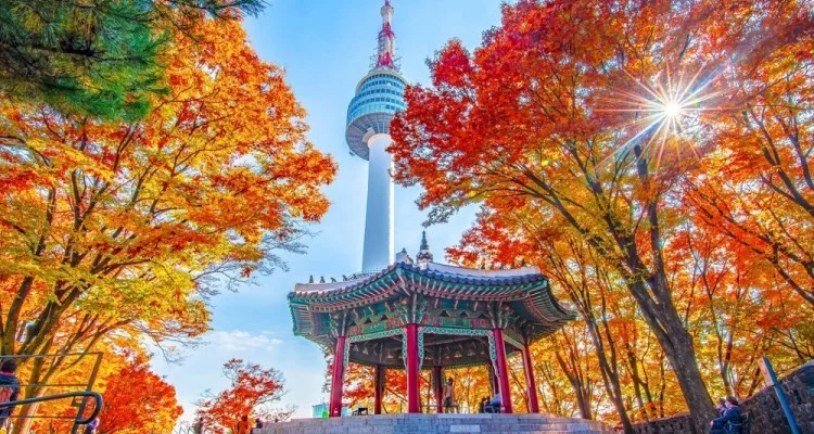 Королевская осень в Южной Корее