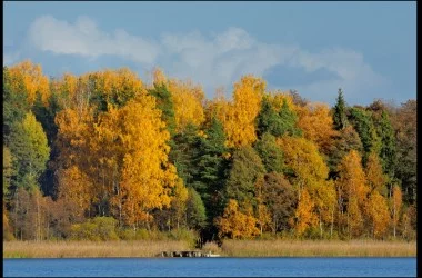 Березенский биосферный заповедник