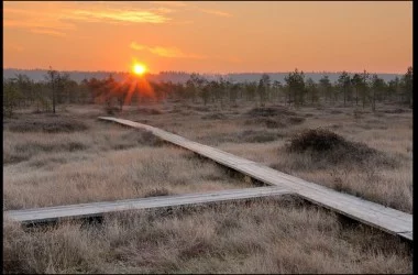 Березенский биосферный заповедник