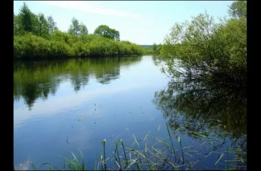 Березенский биосферный заповедник