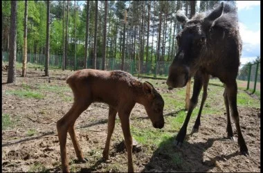 Березенский биосферный заповедник