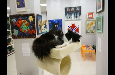 Музей кота в Минске