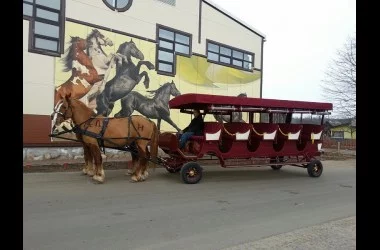 Этнокультурный комплекс «Наносы Отдых»